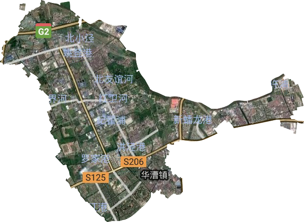 華漕鎮衛星圖
