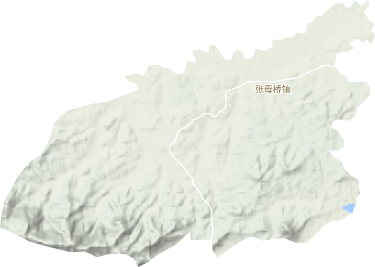張母橋鎮地形圖