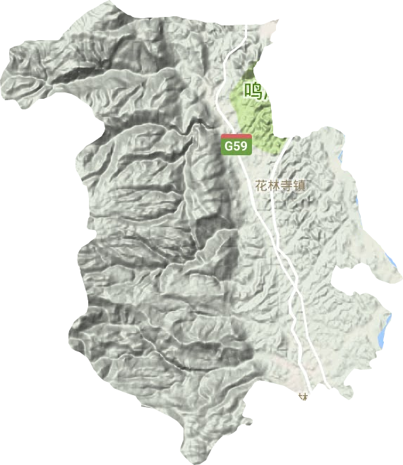 花林寺鎮(zhèn)地形圖
