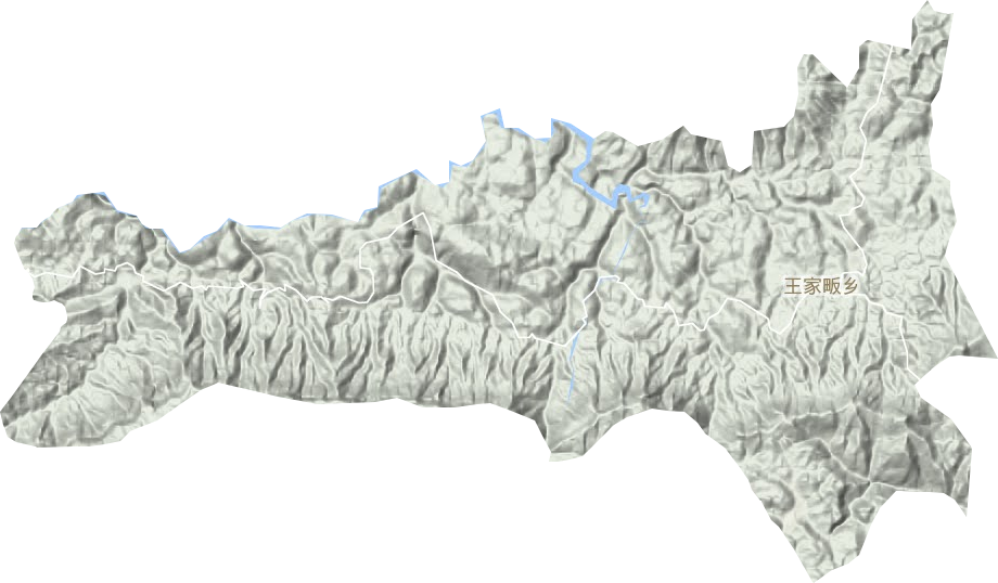 王家畈鄉(xiāng)地形圖