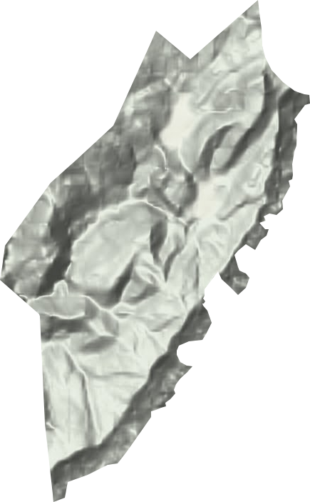 天星山林場地形圖