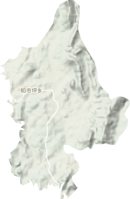 知市坪鄉地形圖