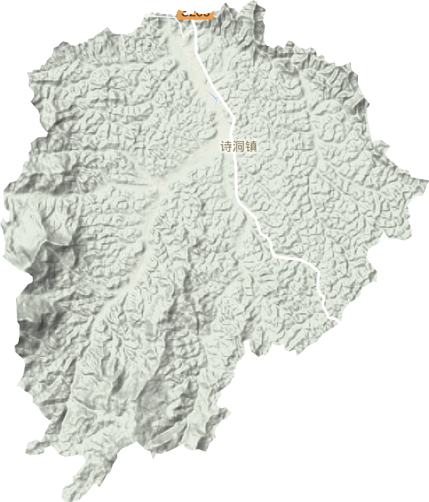 詩洞鎮(zhèn)地形圖