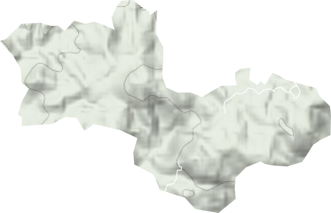 大埔林場地形圖