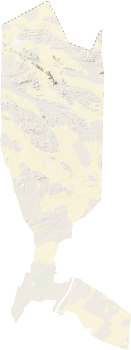 東壩鎮(zhèn)地形圖