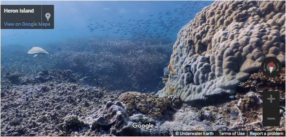 Google 處海底街景，不用潛水也可暢游海底